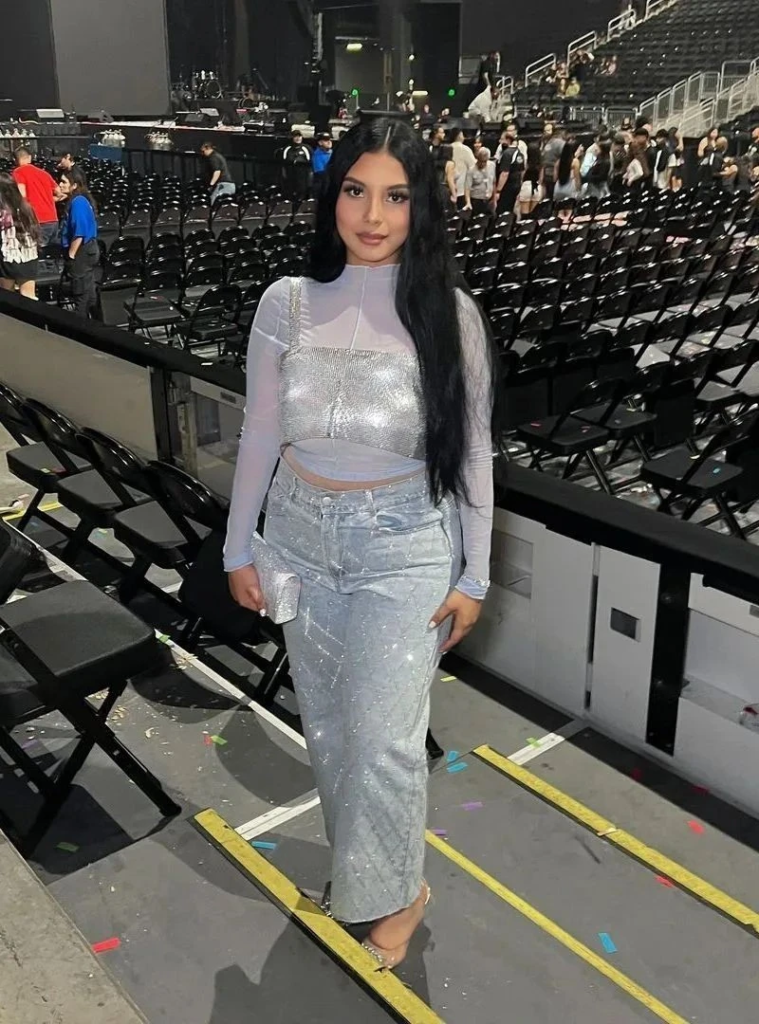 Shimmering Two-Piece Crop Top Set